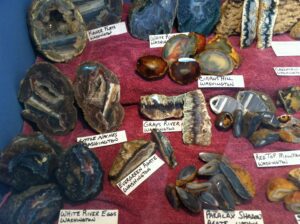 Collection of labeled rocks and minerals display.
