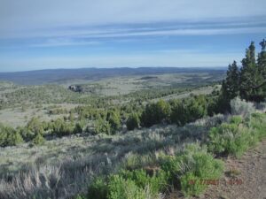 Expansive landscape with trees and distant hills.
