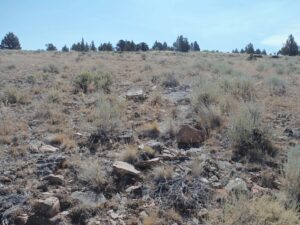 Dry, rocky landscape with sparse vegetation.